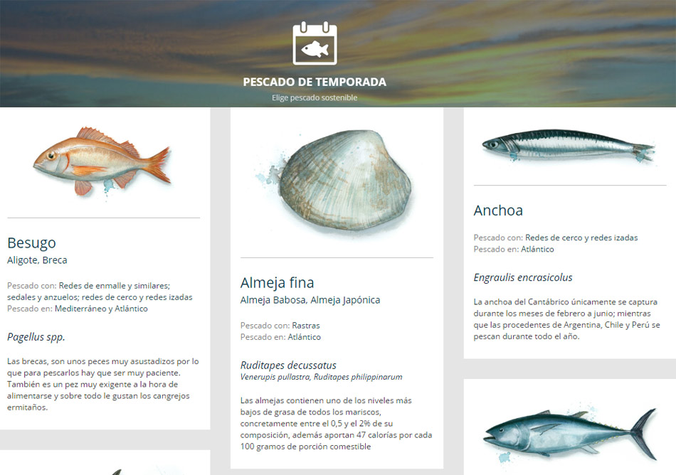 Guía para elegir pescado de temporada Gastronomía Cía