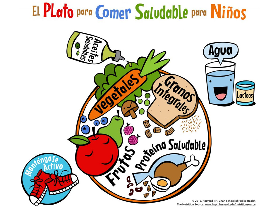 El Plato Para Comer Saludable Para Ni Os Facilita El Aprendizaje De