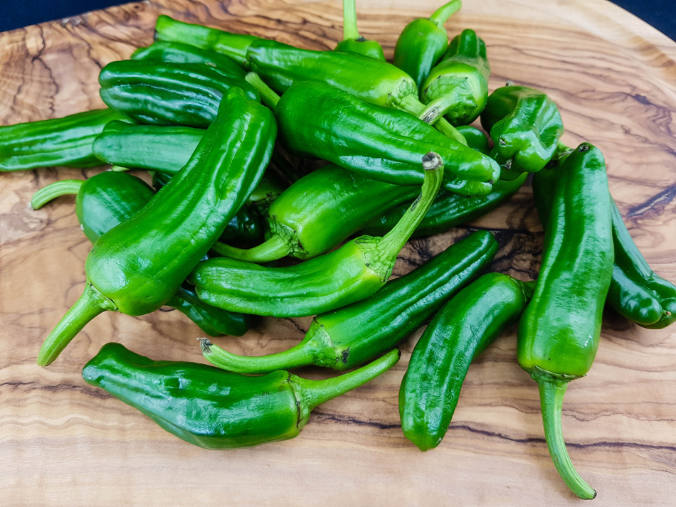 Pimientos de Padrón