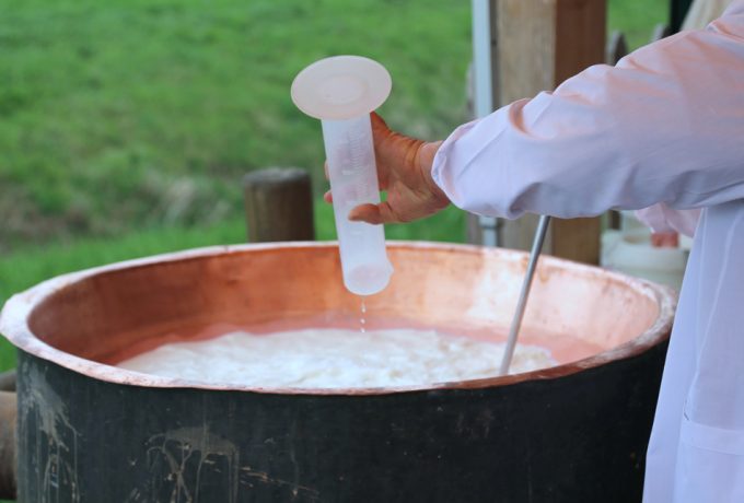 Tipos de cuajo para la elaboración de queso