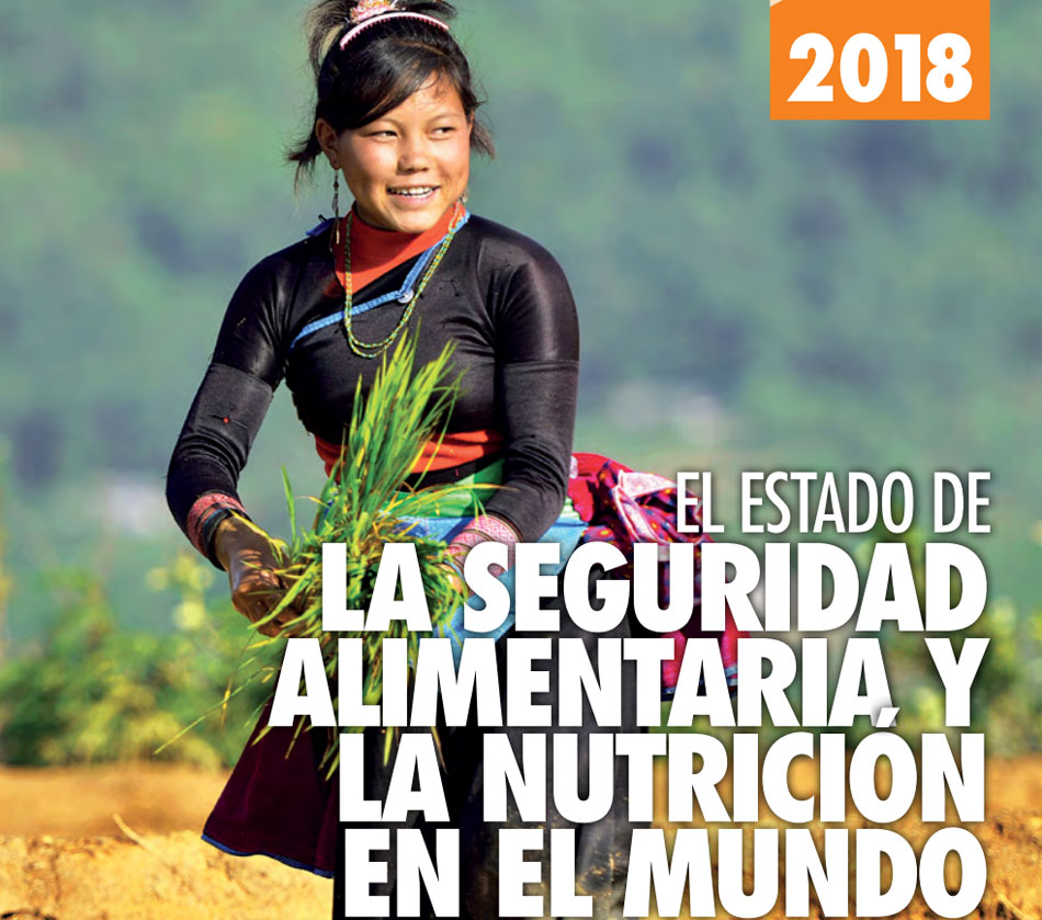 El Estado De La Seguridad Alimentaria Y La Nutrición En El Mundo 2018 ...