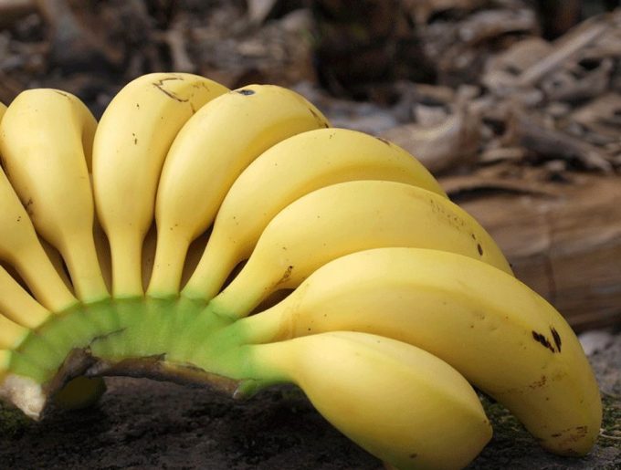 Por qué deberíamos lavar el plátano antes de pelarlo. Esta es la forma  correcta de hacerlo
