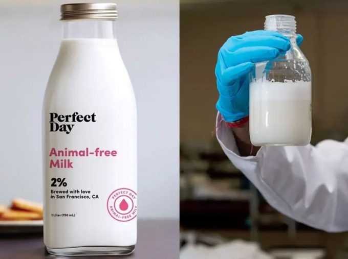 Por qué se desintegra la espuma de la leche? - Perfect Daily Grind Español