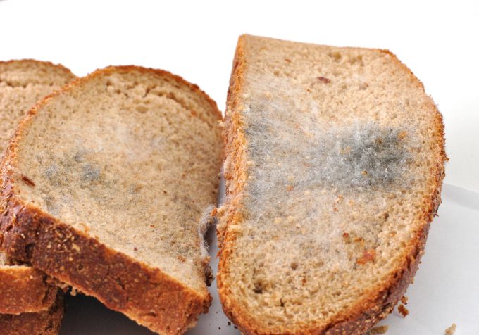 Riesgos del moho en el pan