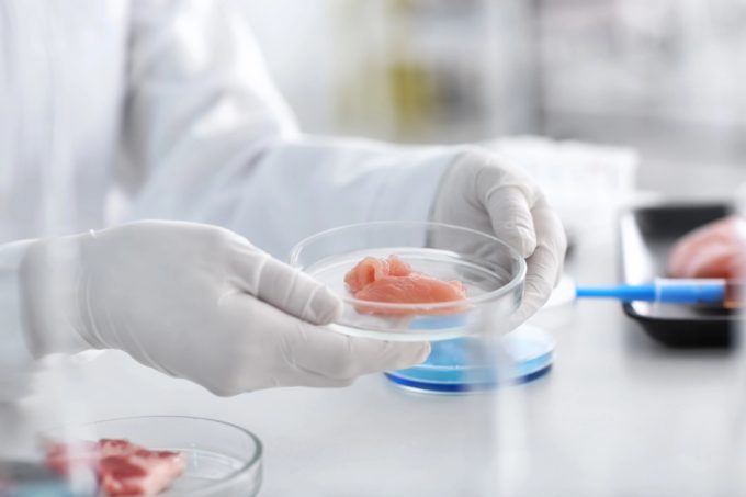 Gran Bretaña aprueba la carne de cultivo celular