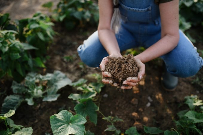 Agricultura regenerativa