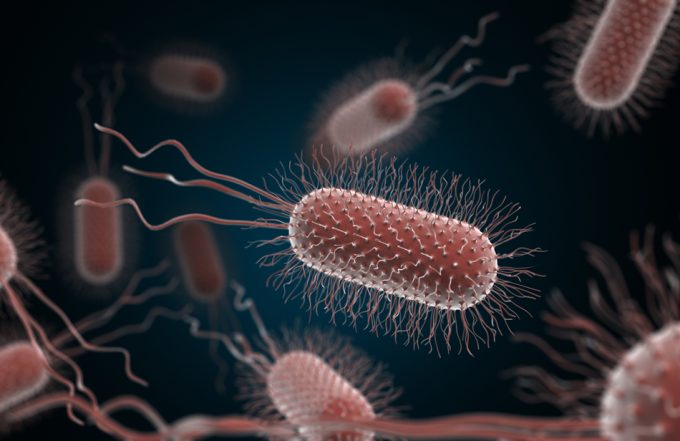 Estrategia para reducir el riesgo de bacterias resistentes a los antibióticos