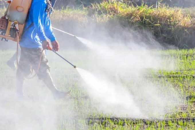 Pesticidas prohibidos en la UE se utilizan en países en vías de desarrollo