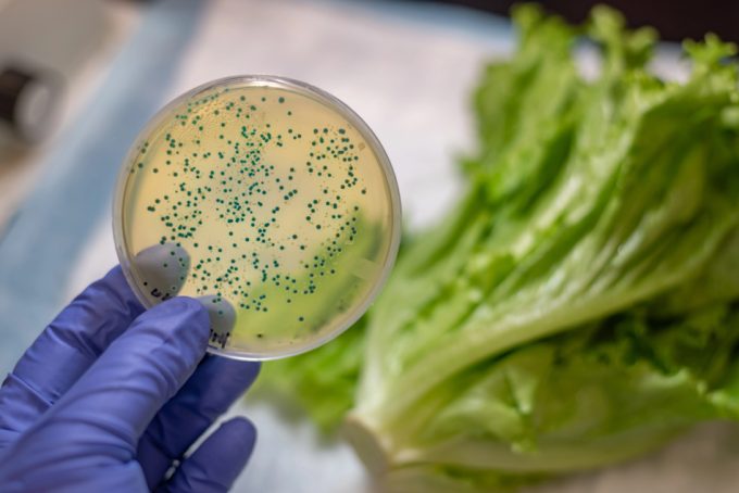 Aumentan la contaminación por Salmonella en frutas y verduras