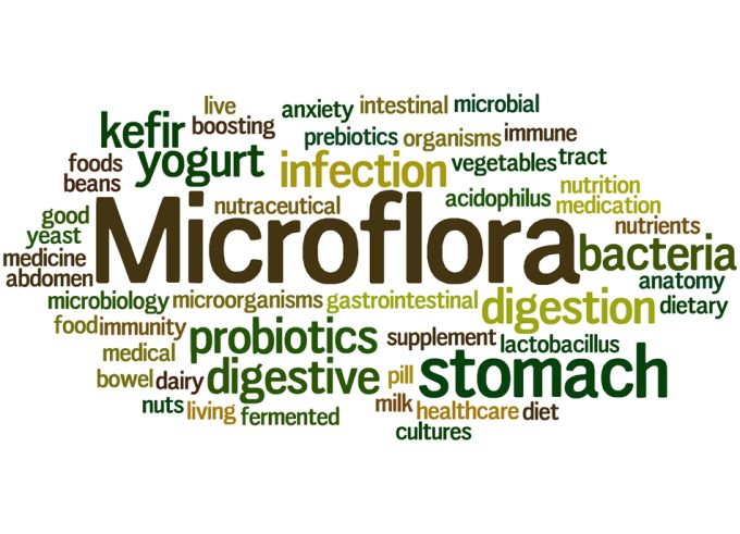 Microbioma y calidad de la salud durante el envejecimiento