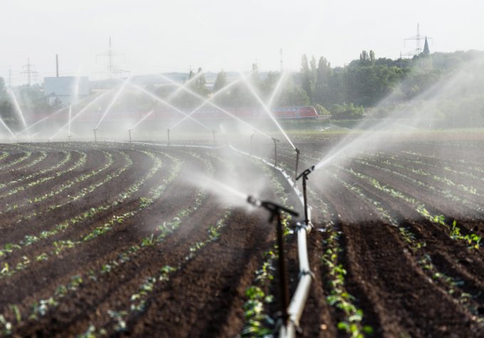 Declaración de Roma sobre la Escasez de Agua en la Agricultura