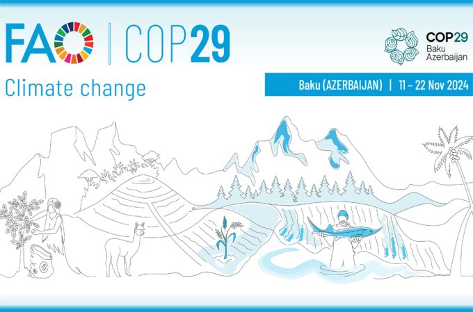 COP29