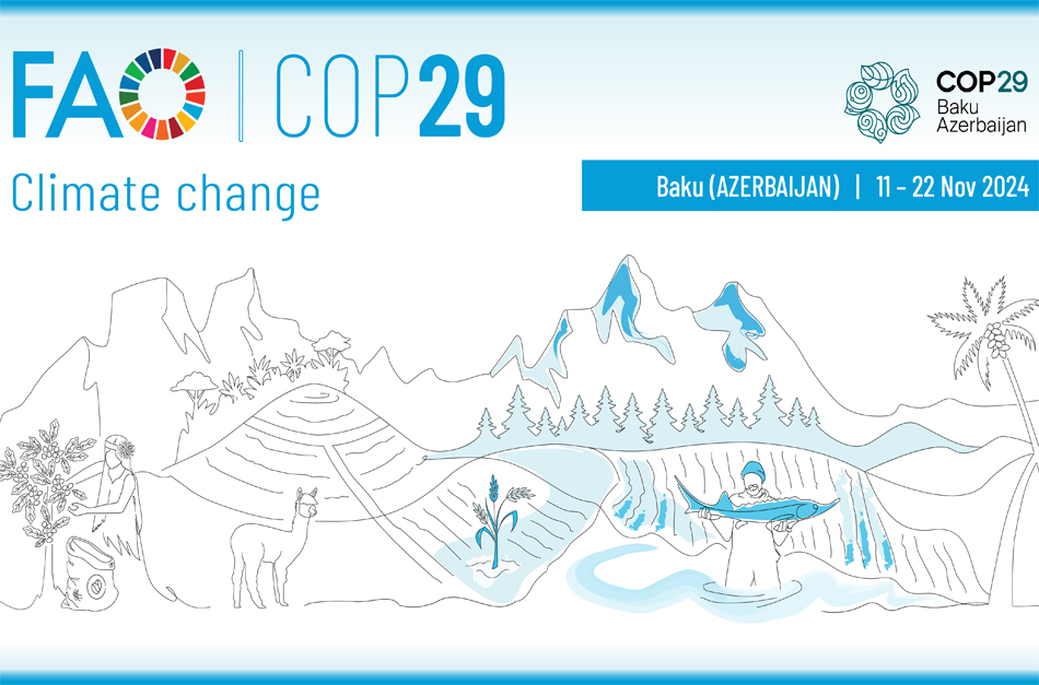 COP29