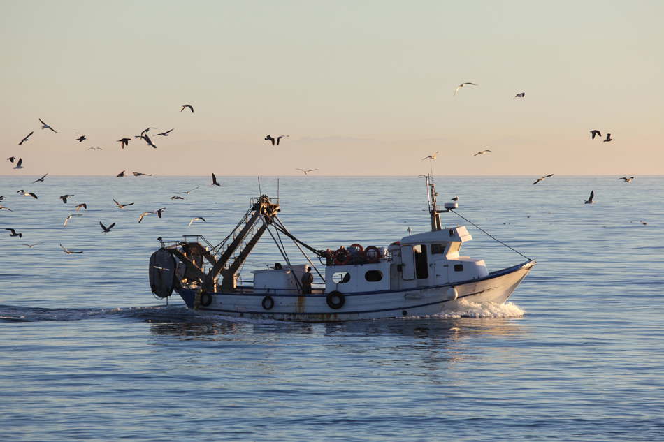 Situación de la pesca en el Mar Mediterráneo