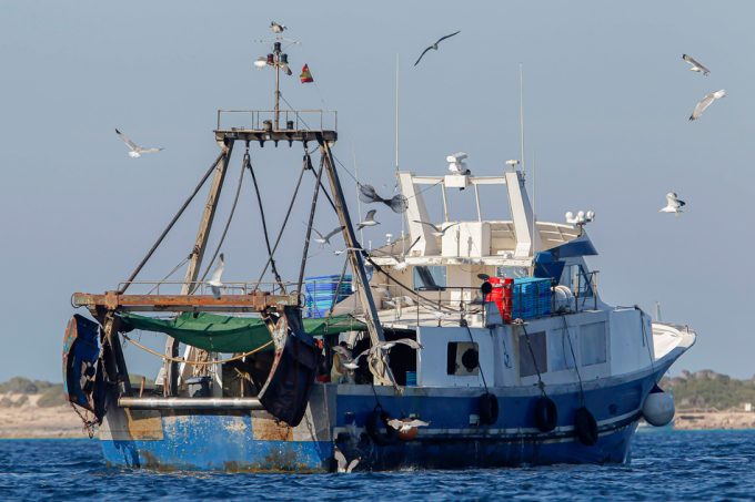 Garantizar la pesca en el Mediterráneo en el futuro