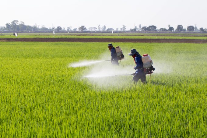 Productos fitosanitarios prohibidos en la UE