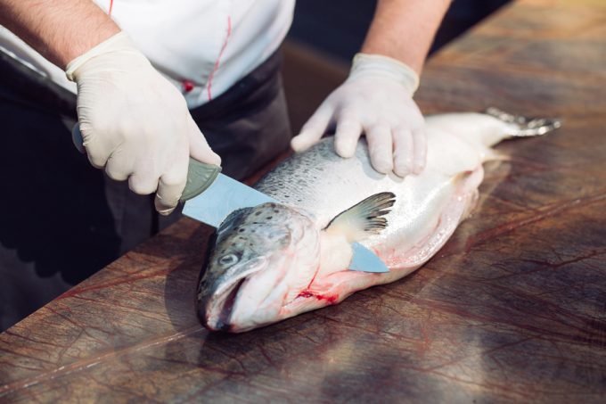 Campaña contra el salmón de piscifactoría de Noruega