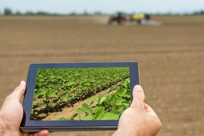 Tendencias que están transformando el sector del foodtech