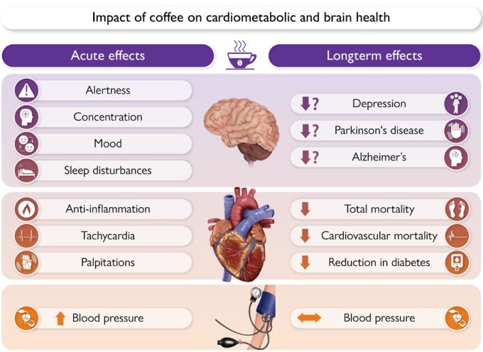 Beneficios del consumo de café por la mañana o café matutino