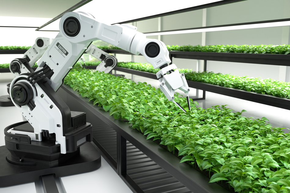 Impacto de la inteligencia artificial en la agricultura, una gran revolución tecnológica