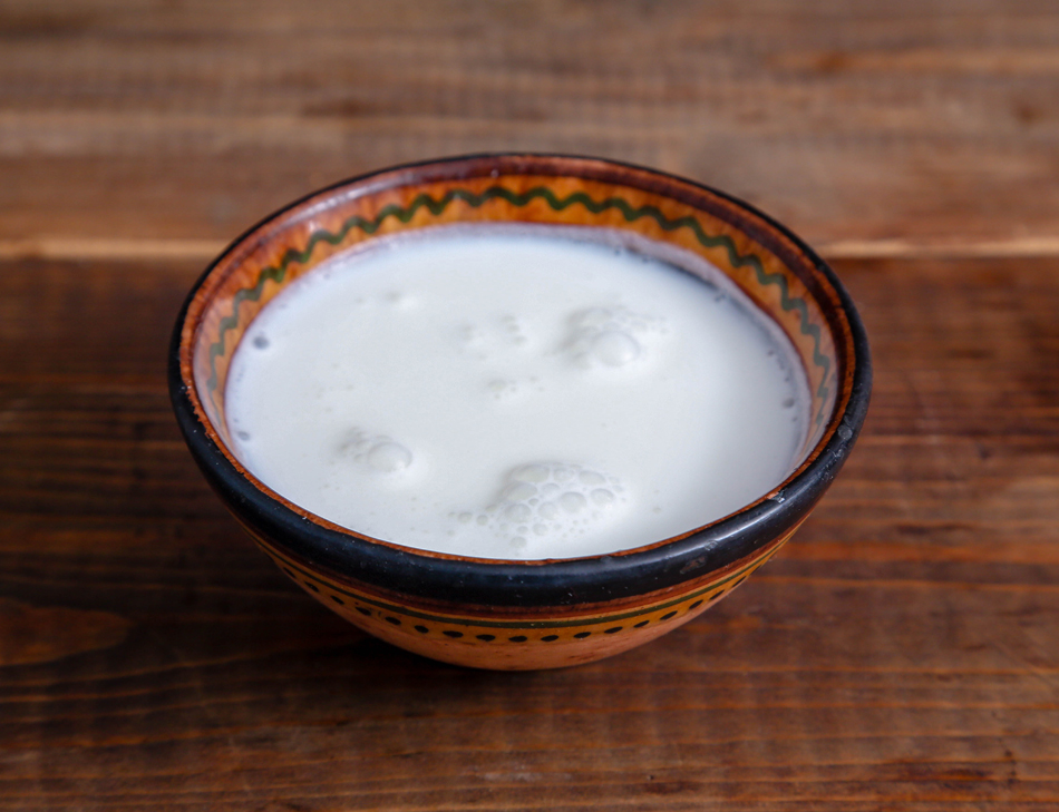 Qué diferencias hay entre la leche de vaca y la leche de camello