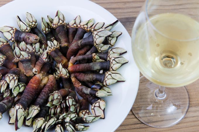 Percebes